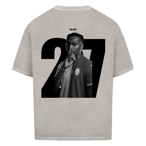 Image for color: washed grey