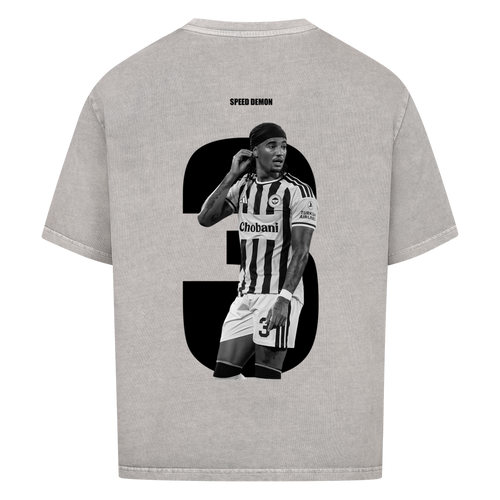 Image for color: washed grey