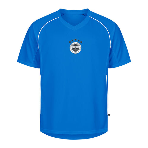 Image for color: royal blue
