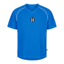 Image for color: royal blue