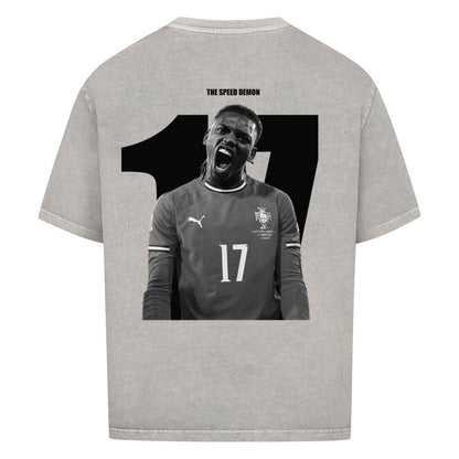 Image for color: washed grey