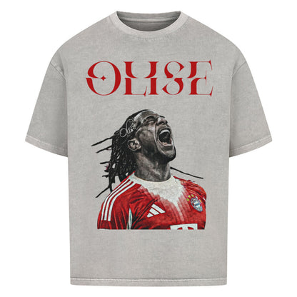 Image for color: washed grey