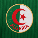 ALGERIA AWAY WORLD CUP JERSEY