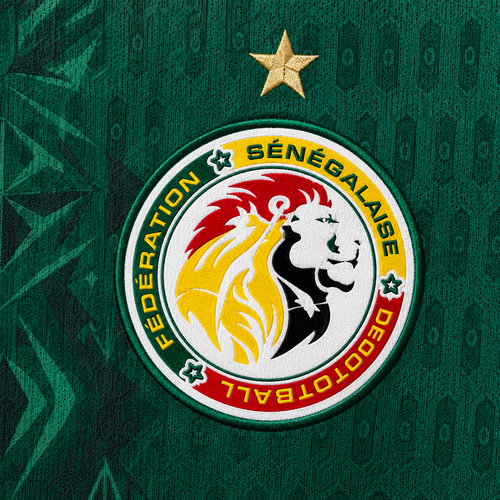 SENEGAL HOME WORLD CUP JERSEY