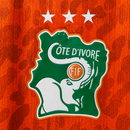 IVORY COAST HOME WORLD CUP JERSEY