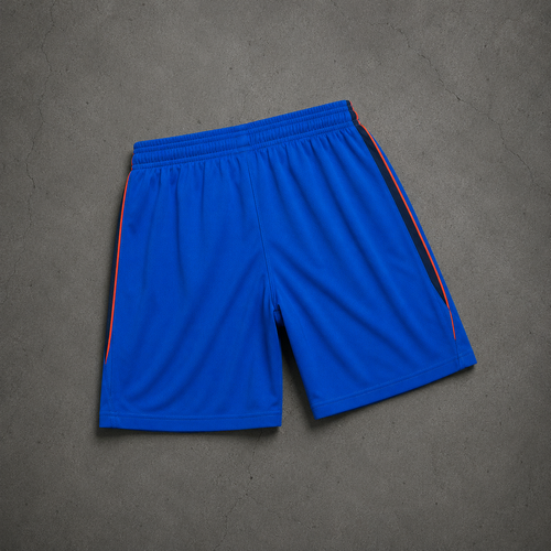 FRANCE HORIZON SHORTS