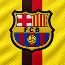 FC BARCELONA 2008/09 AWAY LONGSLEEVE RETRO JERSEY