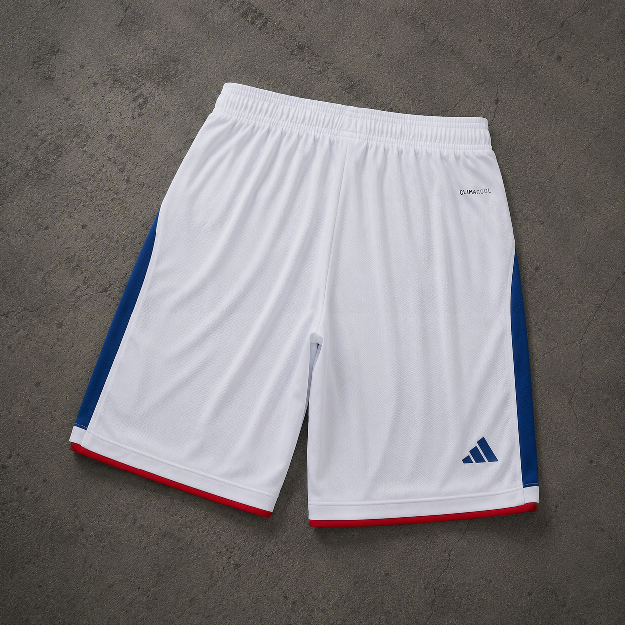 JAPAN WORLD CUP SHORT